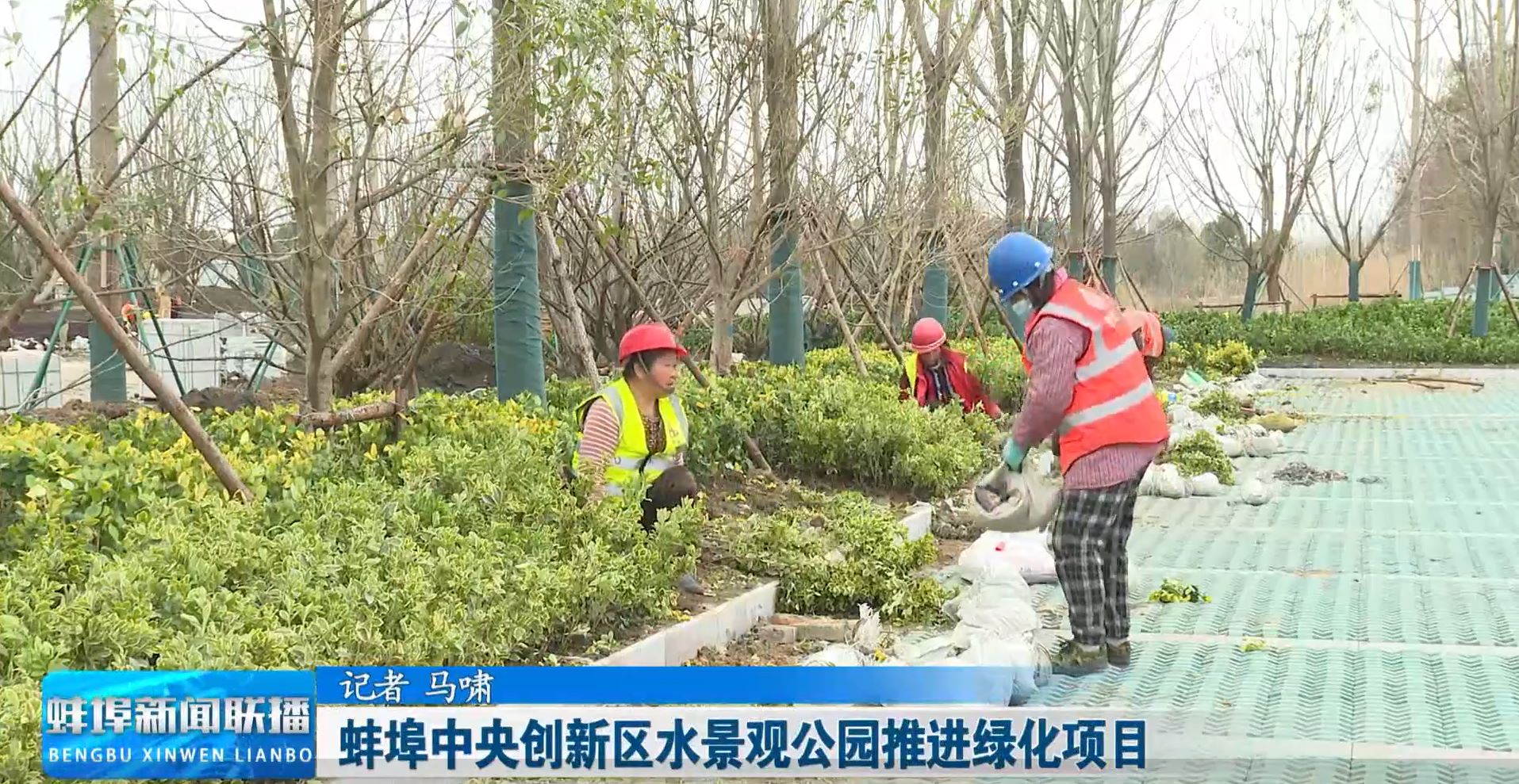 中央景观-蚌埠新闻联播-小.jpg